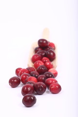 Cranberries