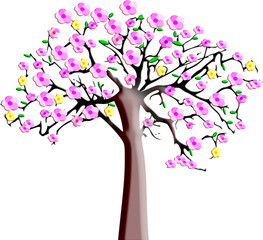 Obraz na płótnie Canvas árvore em flor