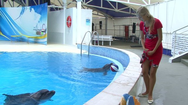 Dolphins and girls