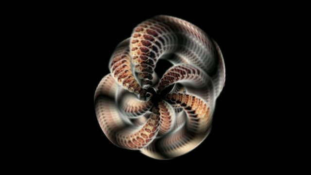 3d metal morph