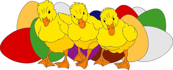 vector - gosling and eggs isolated on background