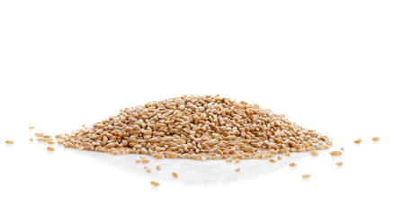 Grain of the wheat