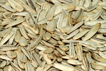 Sonnenblumenkerne