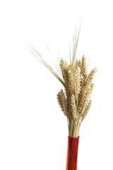 Fototapeta premium decortaion vase wheat