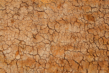 cracked earth