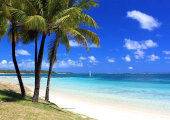 paradise beach in tropical island