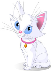 White cat
