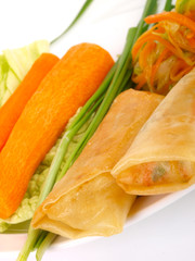 Chinese spring roll. Close up on white background