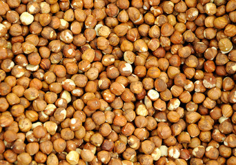 Closeup Shelled Hazelnuts