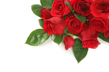 Roses With Copy Space for Your Text or Image