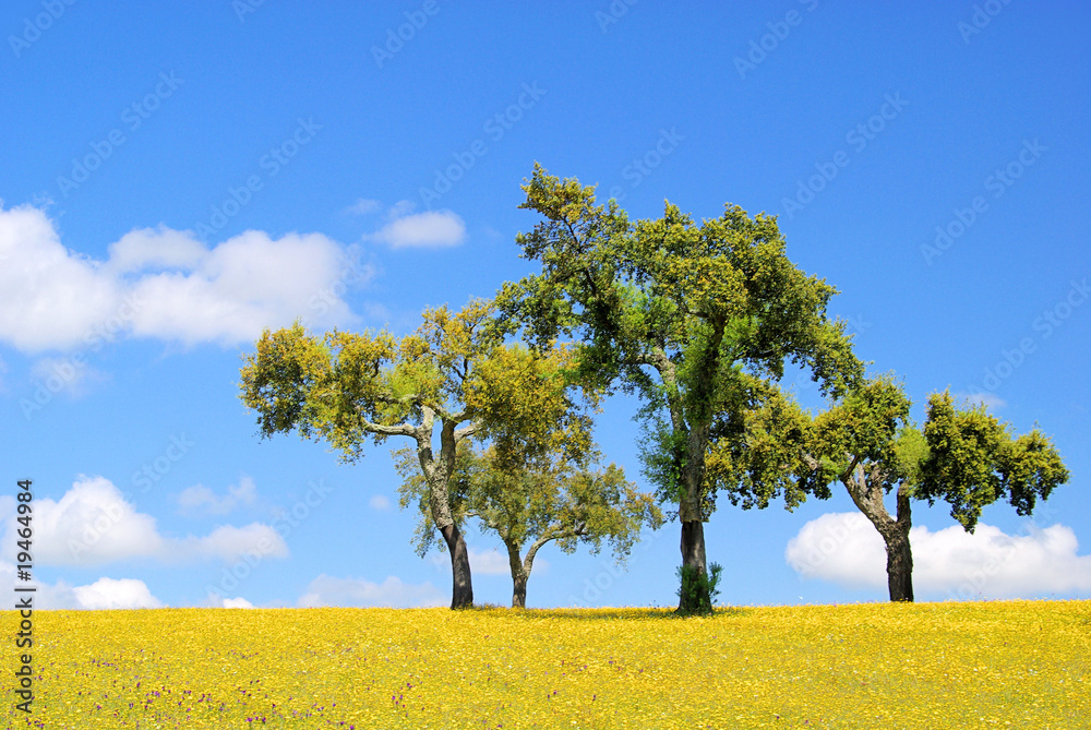 Sticker Wiese mit Korkeichen - meadow and cork oaks 23