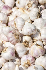Bunch of whole garlic bulbs