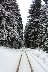 Fototapeta premium Winterbahn