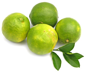 citrons verts bio fond blanc