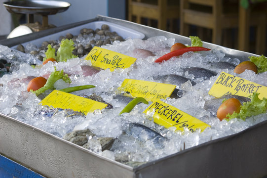 Seafood market in Lamai (Samui, Thailand)