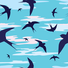 swallows