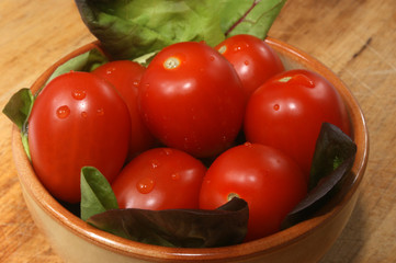 some organic plum tomato in a bowl