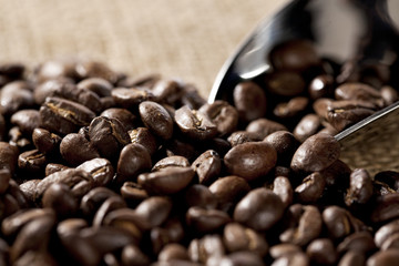 gros plan sur grains de café