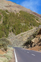 Landstrasse ins Tal - Kanaren - road into the valley