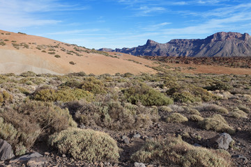 Teide Nationalpark - Teneriffa - Tenerife