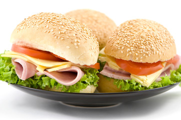 Half Ham and Cheese Sandwich
