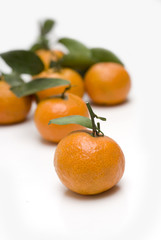 oranges with leaves backgrounds