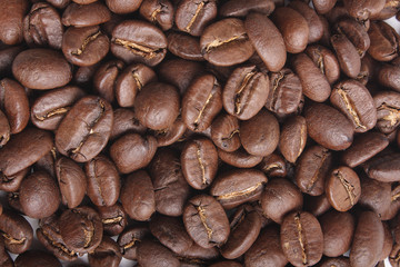 coffee beans