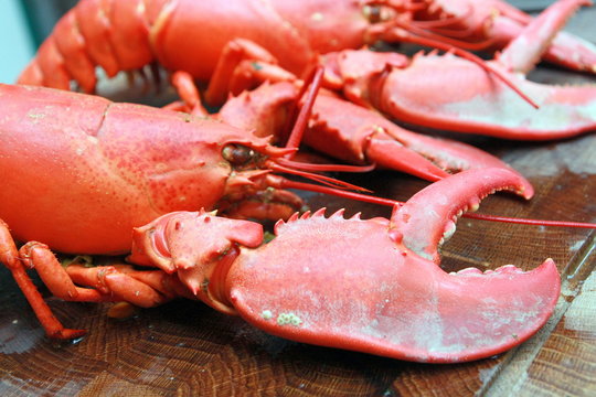 Homard cuit