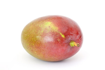 mango fruit