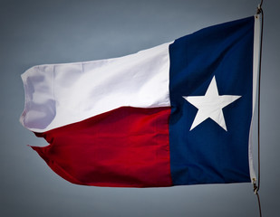 New Texas Flag - 19483178