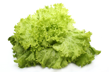 lettuce