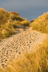 Dünenlandschaft n der Nordsee, Norddeutschland
