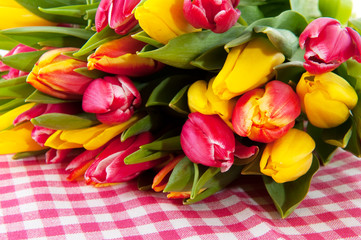 Obraz premium colorful tulips