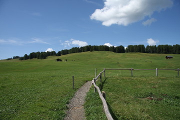 Alpe di Siusi