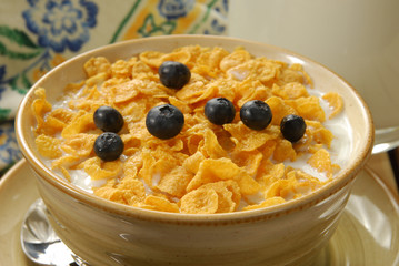 Bowl of Cereal