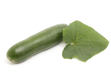 cucumber