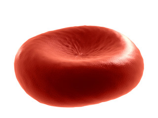 Globule rouge - 19492730