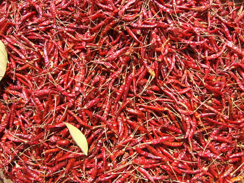 Dried red chili peppers, Thailand.