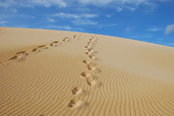 traces de pas dans le désert