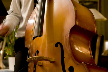 Contrabass