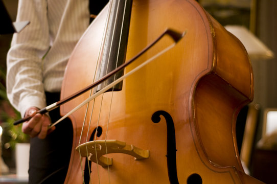 Contrabass