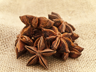 anise star