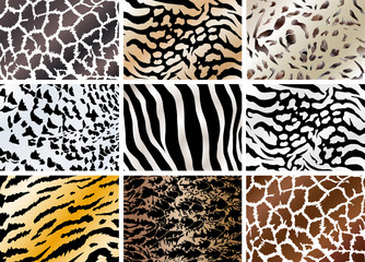 Naklejka premium Set of animals skin backgrounds