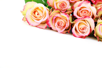 bunch of roses