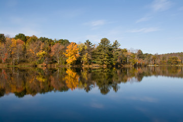 Autumn Leaves in the Catskill Mountains