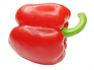 red pepper vegetable