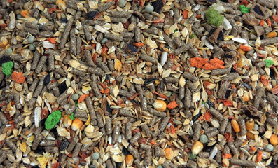 Rabbit and hamster food