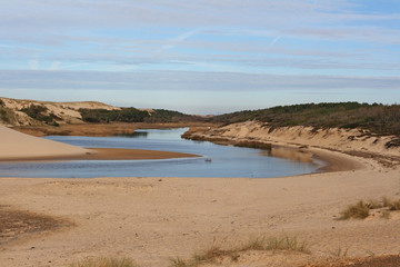 Landes Moliets réserve naturelle courant d'Huchet
