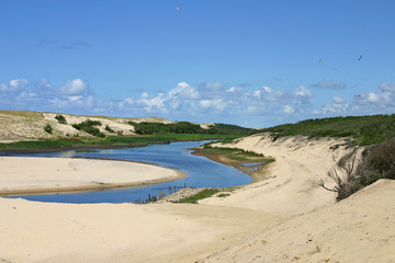 Landes Moliets réserve naturelle courant d'Huchet