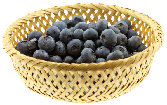panier myrtilles fond blanc